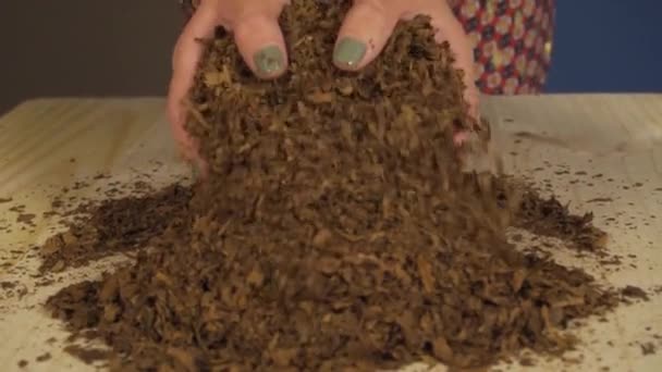 Dried Tobaco Close — Stock Video