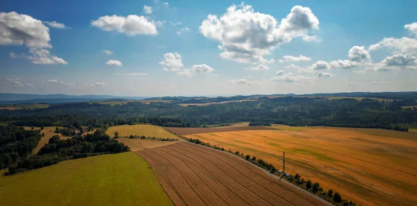 Eine Landschaft Landwirtschaftlicher Feldfrüchte Bedeckt Mit Viel Grün Unter Einem — Stockfoto