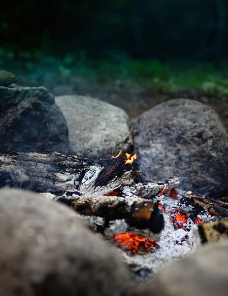 Ein Brennendes Lagerfeuer Auf Dem Zeltplatz Wald — Stockfoto