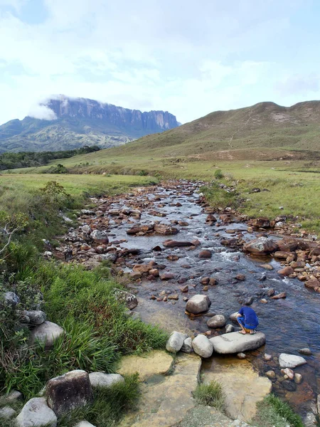 Tiro Vertical Macho Uma Rocha Baía Rio Uma Área Rural — Fotografia de Stock