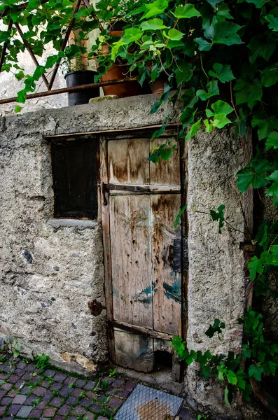 古い閉じた木製のドアとブドウの木と小さな建物のクローズアップショット — ストック写真
