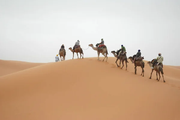 Marrakesh Morocco Temmuz 2021 Fas Taki Turuncu Çöl Kumlarında Yürürken — Stok fotoğraf