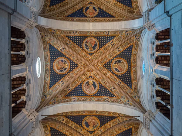 Tiro Ângulo Baixo Teto Catedral São Martinho Lucca Itália — Fotografia de Stock