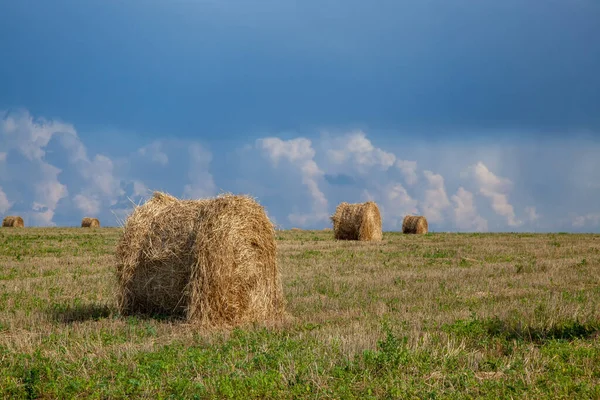 Mowed Field Straw Bales Laid One Other Harvest Cloudy Sky — Stock Photo, Image