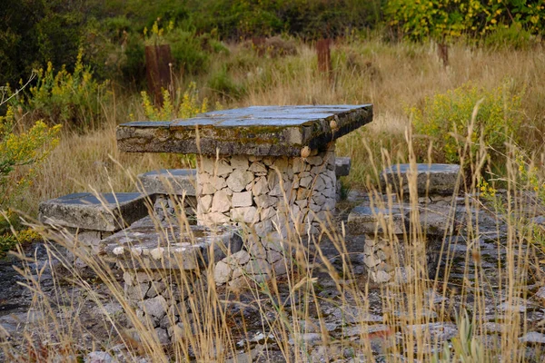 Una Mesa Piedra Asientos Bosque — Foto de Stock