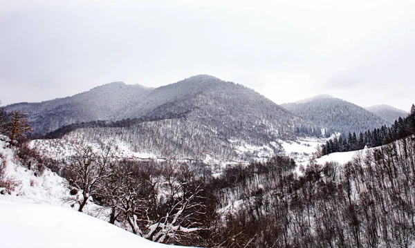 Прекрасный Вид Горы Зимой — стоковое фото