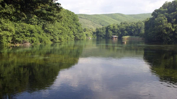 Piękne Ujęcie Spokojnego Jeziora Lesie — Zdjęcie stockowe