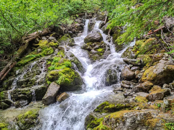 Uno Scatto Scenografico Ruscello Che Attraversa Rocce Della Montagna Brandywine — Foto Stock