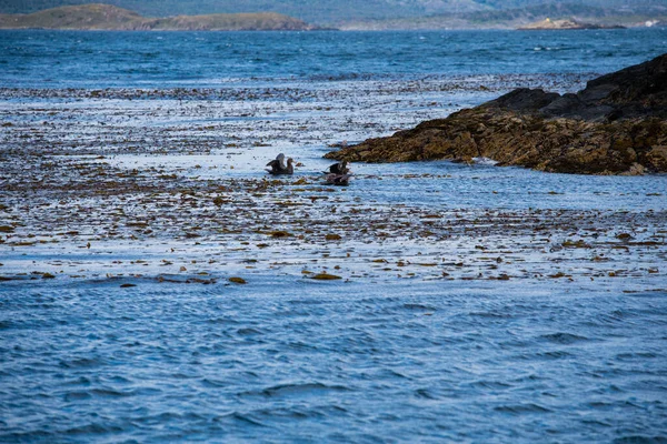 Uma Paisagem Maravilhosa Tierra Del Fuego Lago — Fotografia de Stock