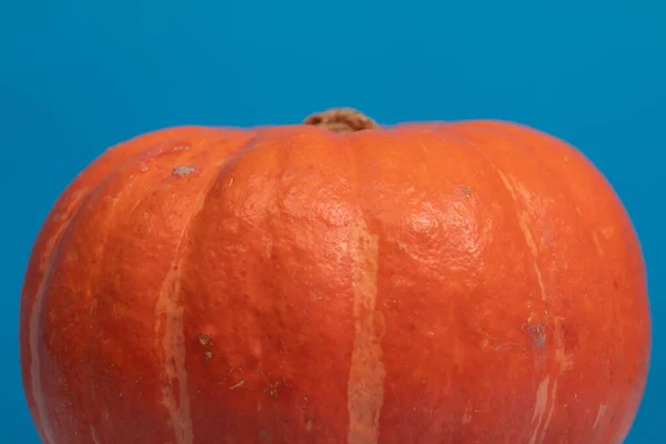 Detailní Záběr Podzimní Oranžové Dýně Modrém Pozadí — Stock fotografie