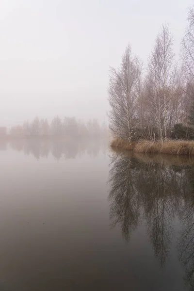 Vertikální Záběr Jezírko Kellands Twizelu Novém Zélandu Mlhavého Dne — Stock fotografie