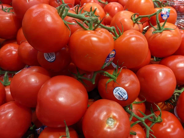 Indianapolis United States Aug 2021 Closeup Organic Tomatoes Shop — 스톡 사진