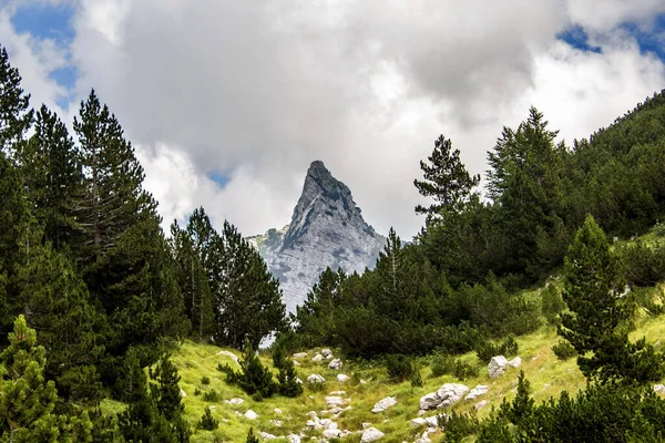 Ett Underbart Landskap Underbara Berg — Stockfoto