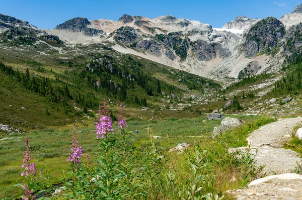 Sebuah Pemandangan Indah Dari Hutan Pegunungan Brandywine Whistler Kanada Dan — Stok Foto