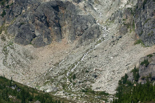 カナダのウィスラーにある岩の多い山のブランデーワインのクローズアップ — ストック写真