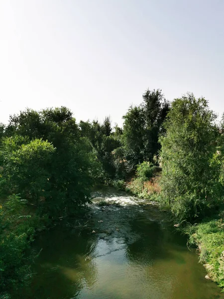 Vertikal Bild Ett Landskap Med Flod Och Grön Natur Närheten — Stockfoto
