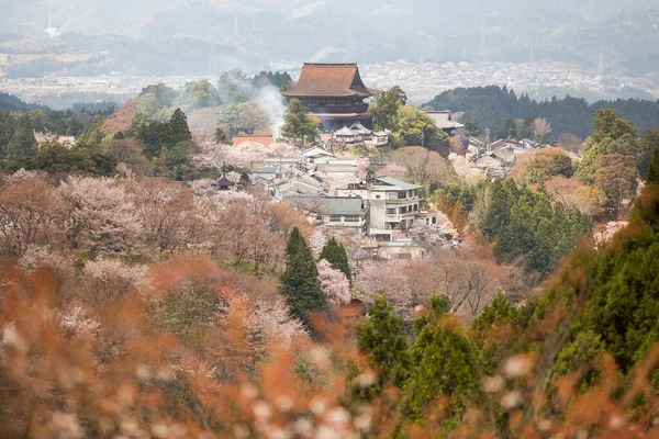 Landsbygdsbyggnaderna Berget Yoshino Yoshingun Japan — Stockfoto