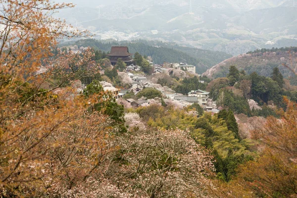 Los Edificios Rurales Monte Yoshino Yoshingun Japón — Foto de Stock