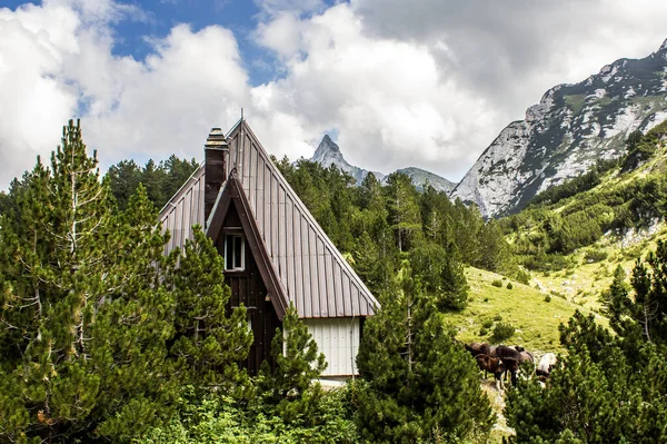 豪華な山間部の小屋 — ストック写真