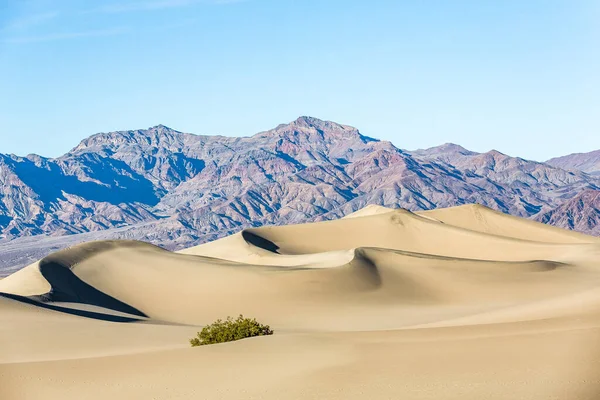Mesquite Flat Sand Dunes Death Valley National Park California Usa — Stock Photo, Image