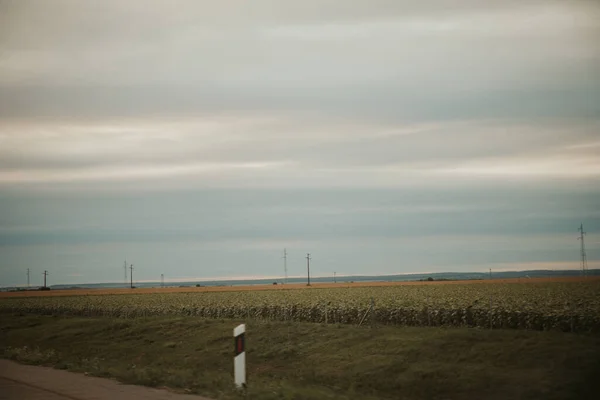 Uma Vista Dos Campos Agrícolas Dia Nublado — Fotografia de Stock