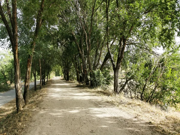 Närbild Park Gränd Närheten Floden Manzanares Madrid Spanien — Stockfoto