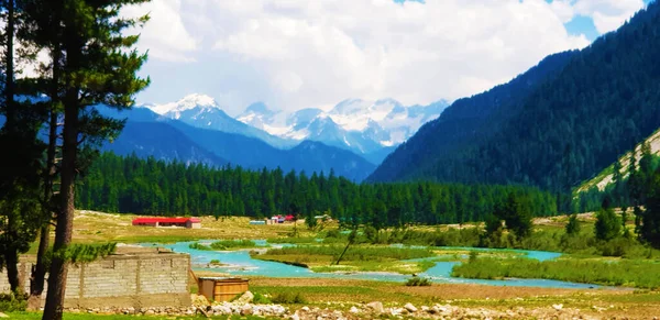 Una Panoramica Uno Stagno Circondato Alberi Montagne Una Zona Rurale — Foto Stock