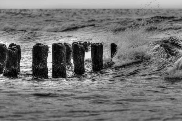 Šedivý Záběr Groynu Pláži — Stock fotografie