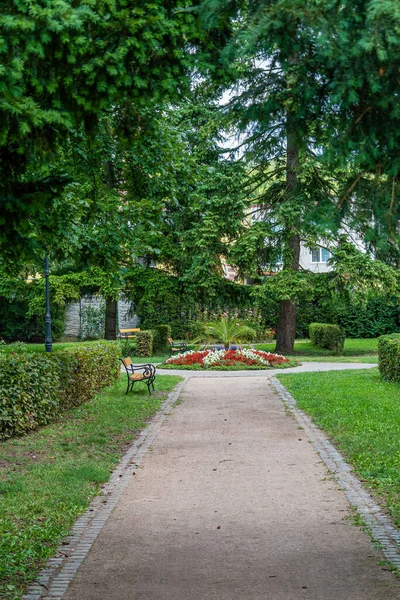 Bzenec Tjeckien Aug 2021 Naturskön Bild Den Blommande Trädgården Full — Stockfoto
