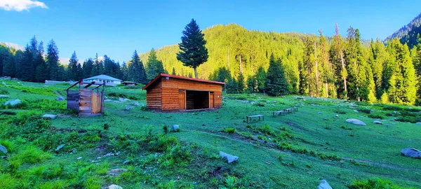 木に囲まれた農村部の木造建築物のパノラマショット — ストック写真