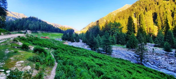 Panoramabild Träd Kullar Ett Landsbygdsområde Solig Dag — Stockfoto