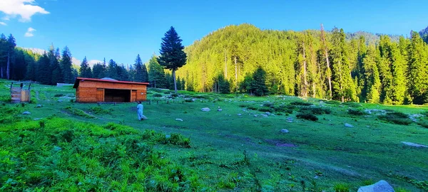 Panoramaaufnahme Einer Holzkonstruktion Einer Ländlichen Gegend Die Von Bäumen Umgeben — Stockfoto