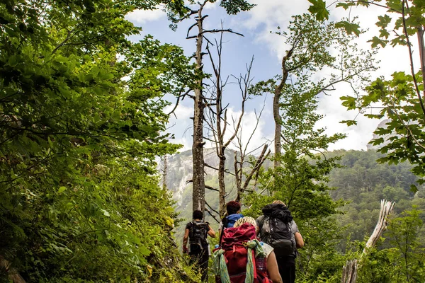 Back Shot People Hiking Backpacks Walking Forest Mountains Sunny Day — Stock Photo, Image