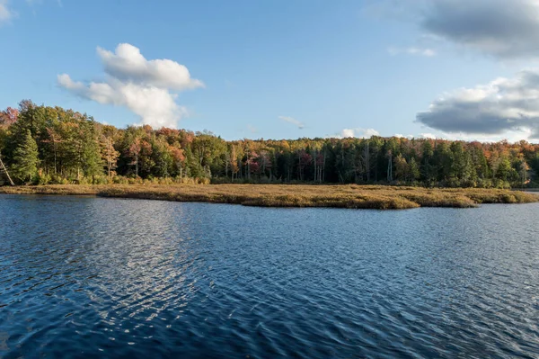 湖と秋の森の美しい風景 — ストック写真