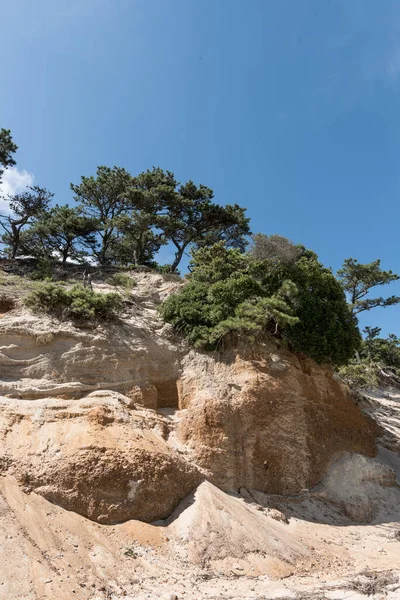 Vertikální Záběr Skály Zelenými Stromy Cape Cod Massachusetts — Stock fotografie