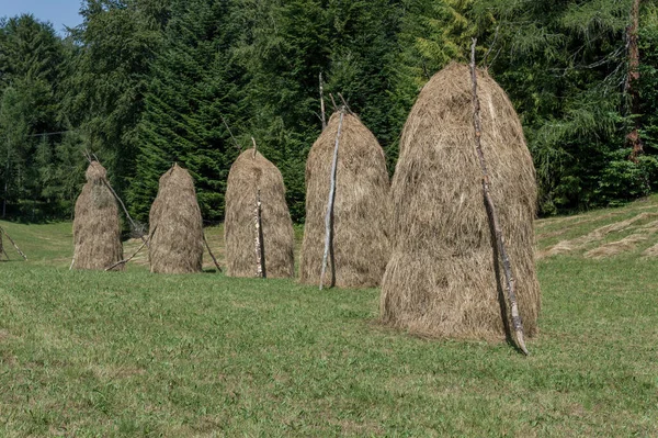 Close Das Pilhas Feno Campo — Fotografia de Stock