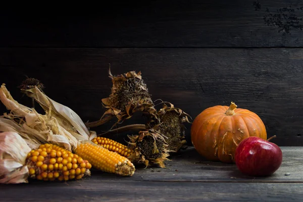 Autumn Harvest Composition Corn Squash Sunflowers Apples Rustic Background — Stock Photo, Image