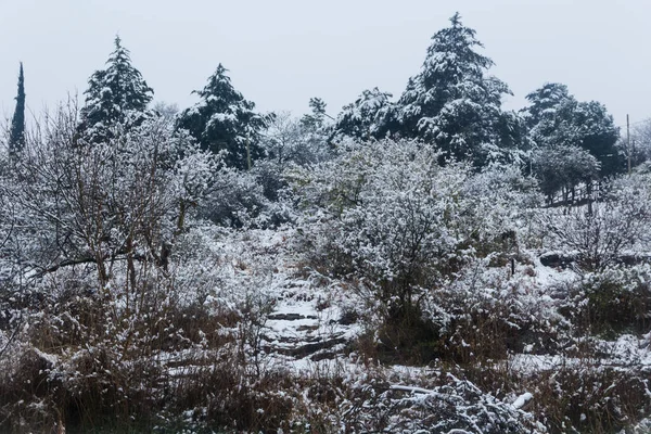Снежный Пейзаж Долине Каламучита Кордова Аргентина — стоковое фото