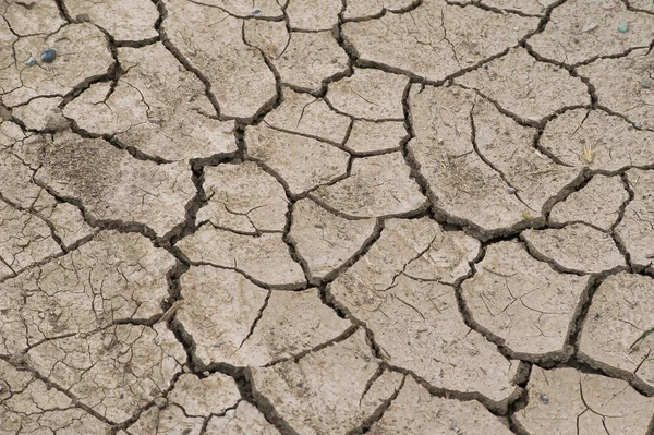 ギリシャのテッサリアの元緑の平野の干ばつのために 気候変動は 土壌が引き裂かれています — ストック写真