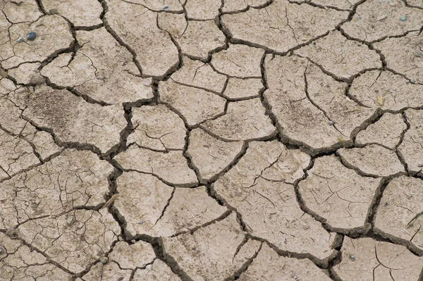 Changement Climatique Raison Sécheresse Dans Ancienne Plaine Verte Thessalie Grèce — Photo