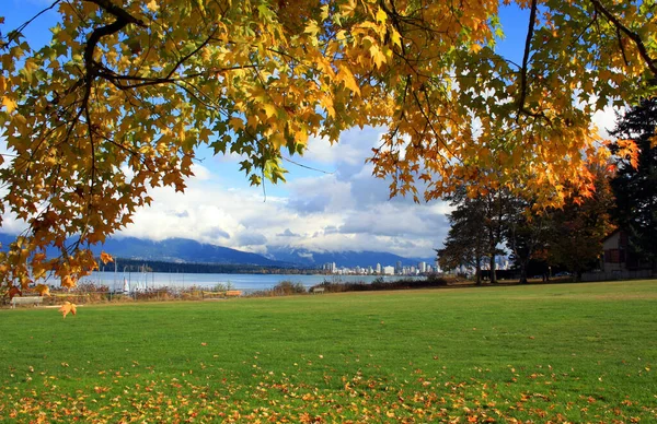 Een Prachtig Uitzicht Een Herfstpark Vancouver Canada — Stockfoto