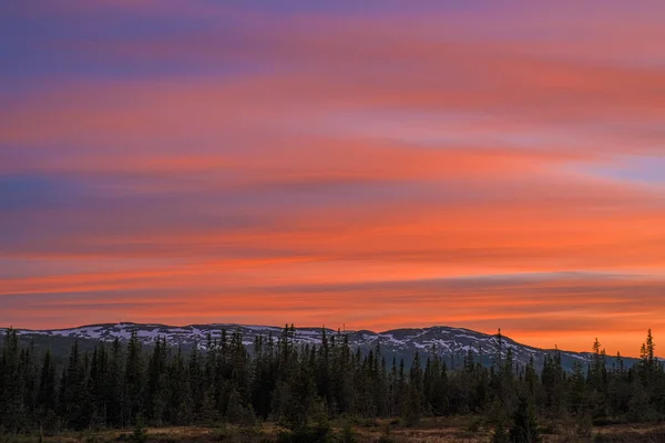森と山の上の豪華な夕日の空 — ストック写真