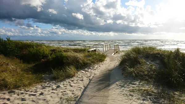 Beautiful Shot Road Leading Sea Surrounded Grass — Stock Photo, Image