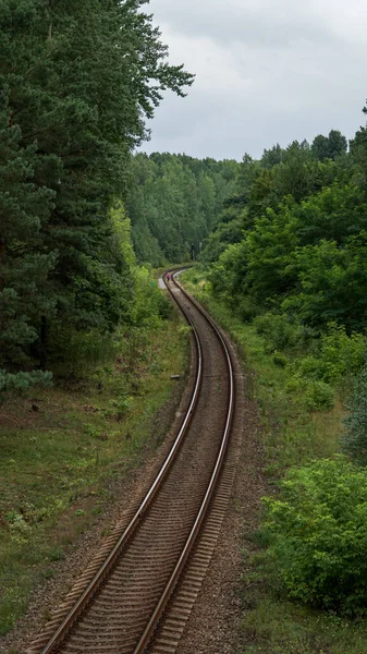 Вертикальный Снимок Железной Дороги Идущей Среди Густого Леса — стоковое фото