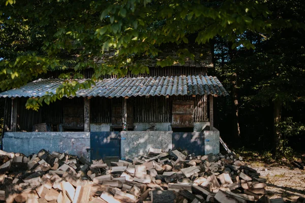 Ein Blick Von Außen Auf Ein Altes Verlassenes Gebäude Wald — Stockfoto