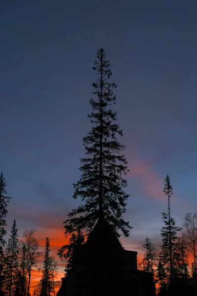 Eine Vertikale Silhouettenaufnahme Einer Hütte Und Bäumen Unter Dem Himmel — Stockfoto