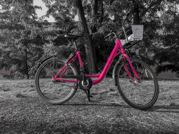 2021年7月17日 位于捷克共和国布拉格卡林公园的Rekola公司一辆粉色自行车的灰度 — 图库照片