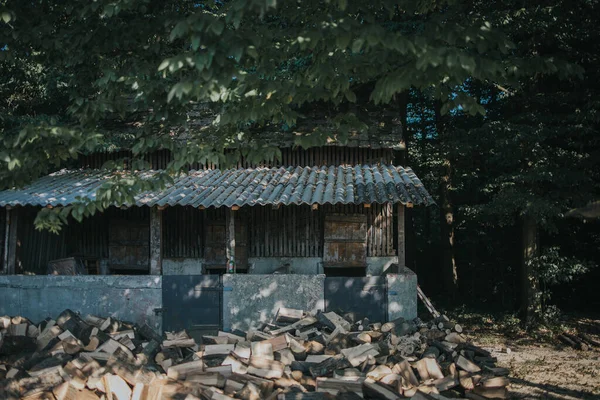 Ein Blick Von Außen Auf Ein Altes Verlassenes Gebäude Wald — Stockfoto