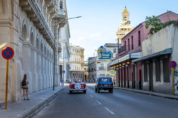 Habana Cuba Mar 2019 Närbild Habana Gator Med Retro Bilar — Stockfoto