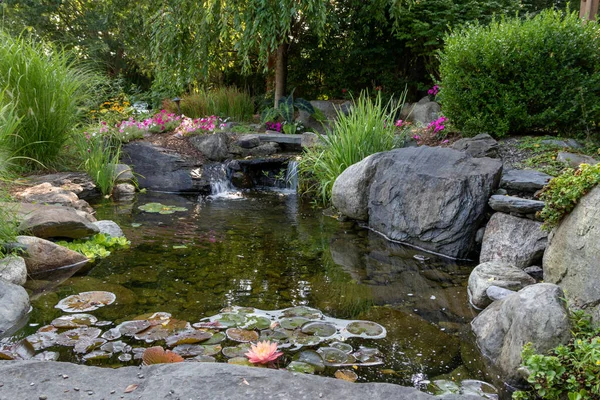 Proudící Potok Krásném Parku Květinami — Stock fotografie